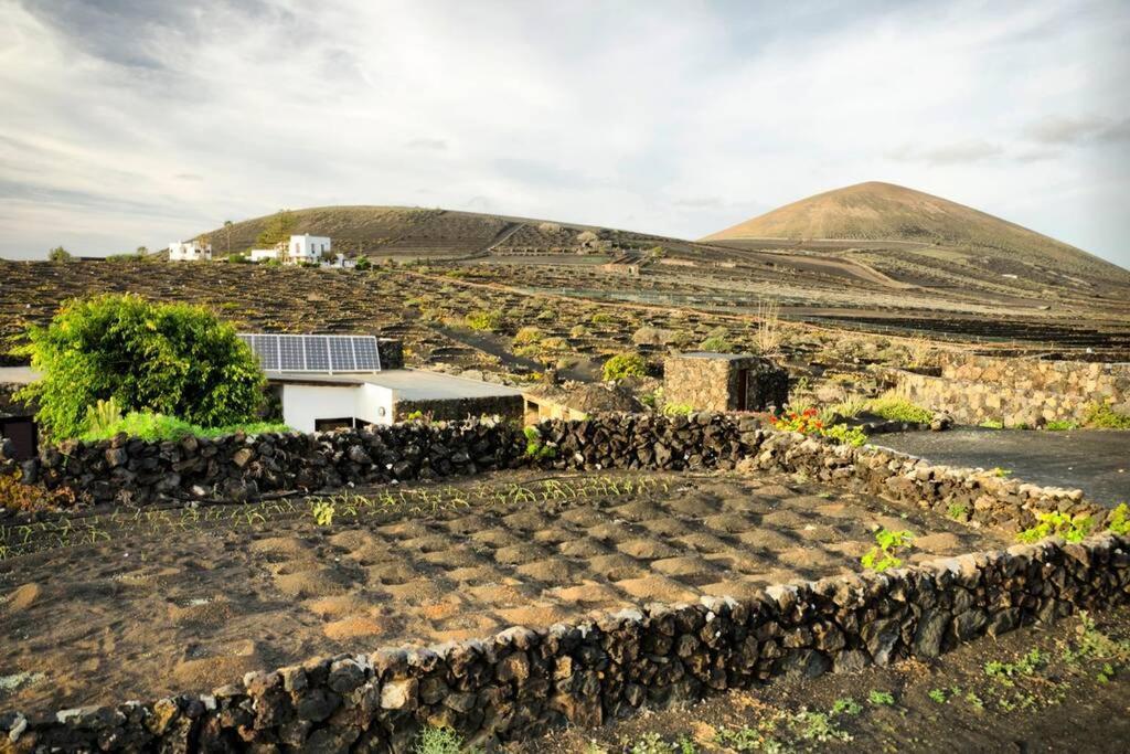 Los Frailes Eco Finca B 티나조 외부 사진